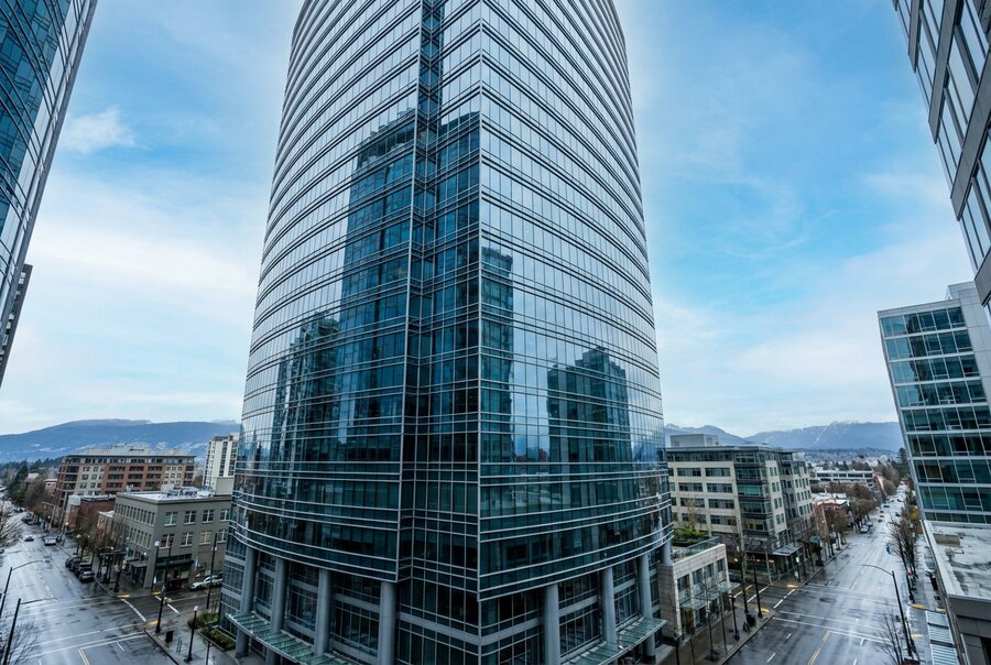 Commercial building and window washing